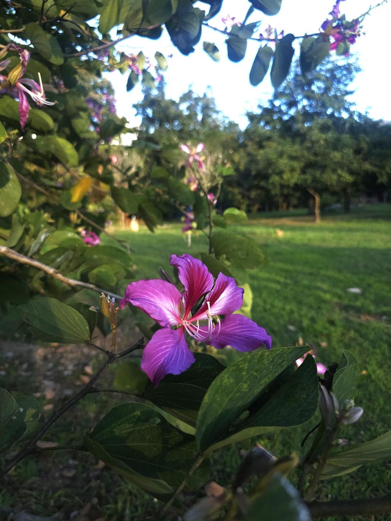 Pai Kiniman Resort 外观 照片