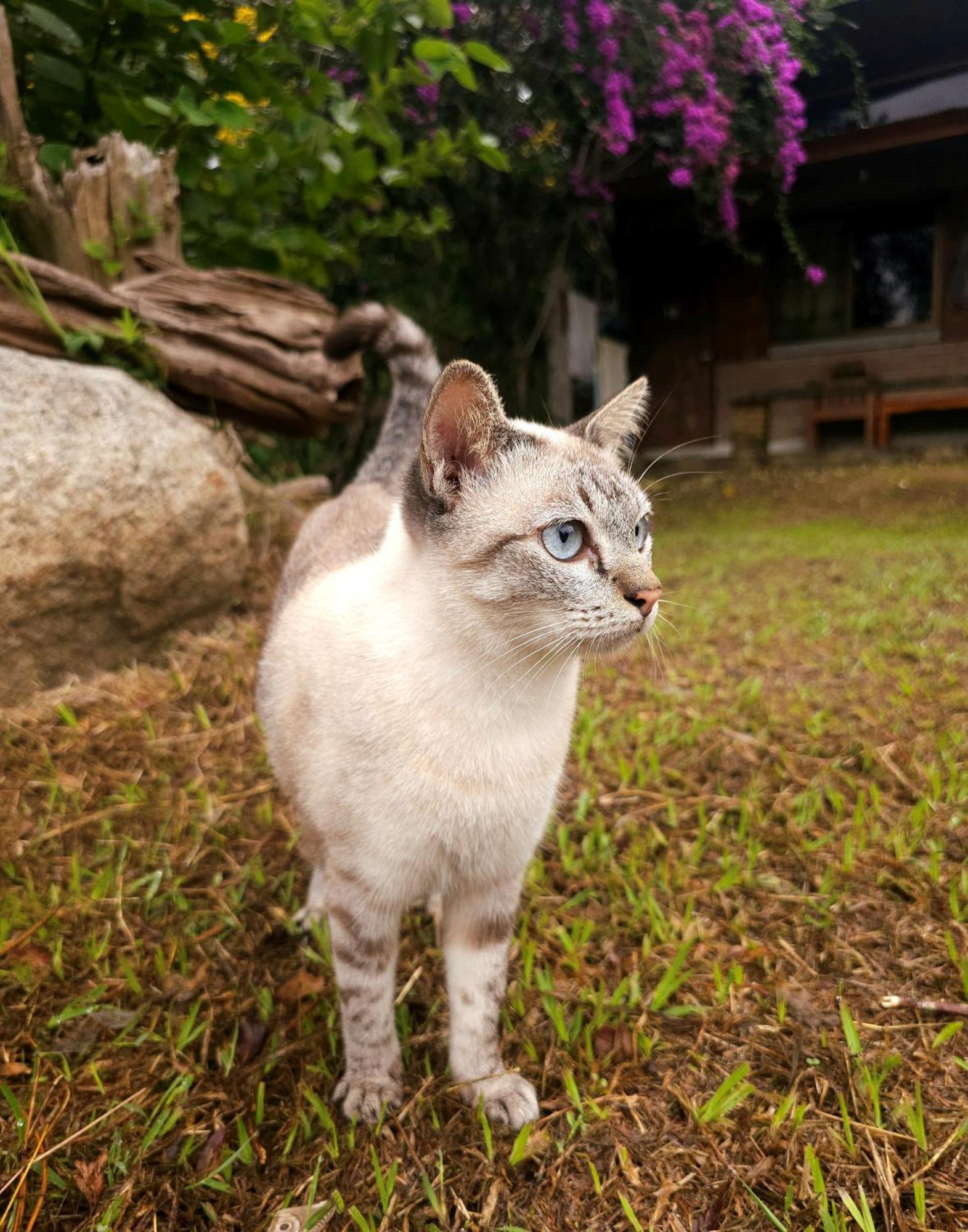 Pai Kiniman Resort 外观 照片