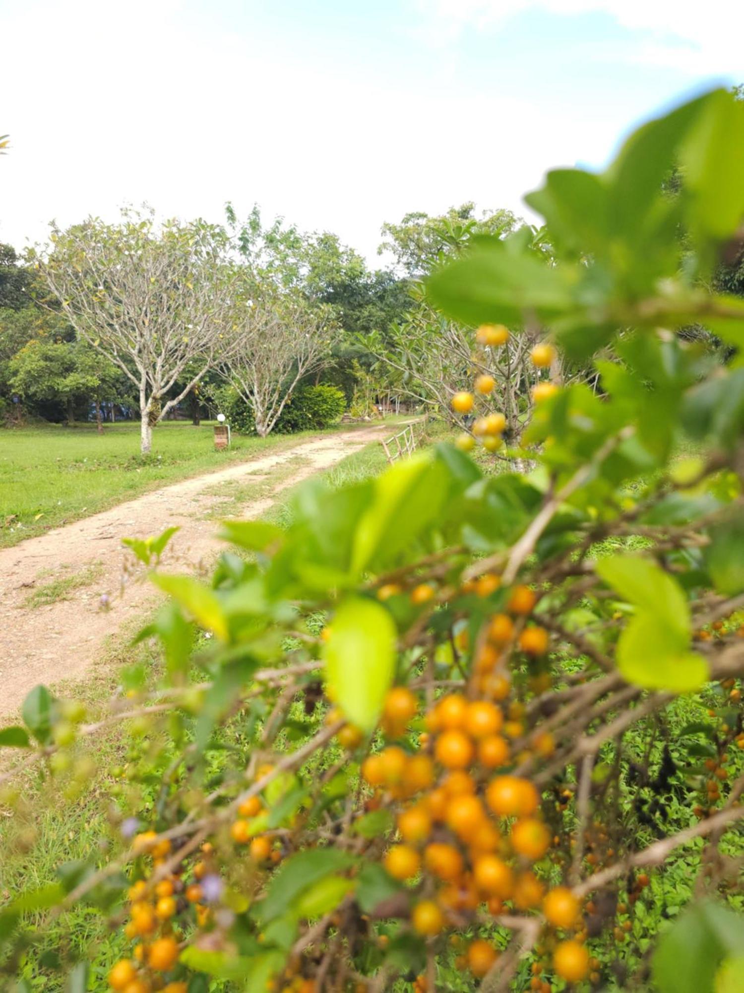 Pai Kiniman Resort 外观 照片